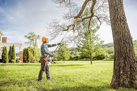 Best Commercial Tree Services  in Camas, WA